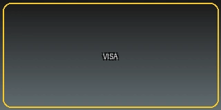 Visa信用卡支付
